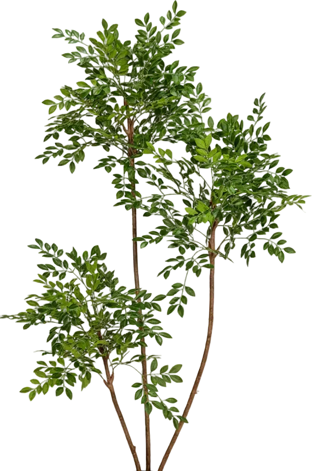 Chinese Money Tree (Life-like Artificial) - Image 47