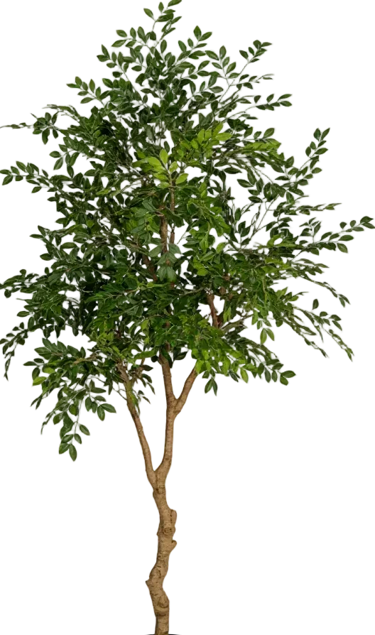 Chinese Money Tree (Life-like Artificial) - Image 52