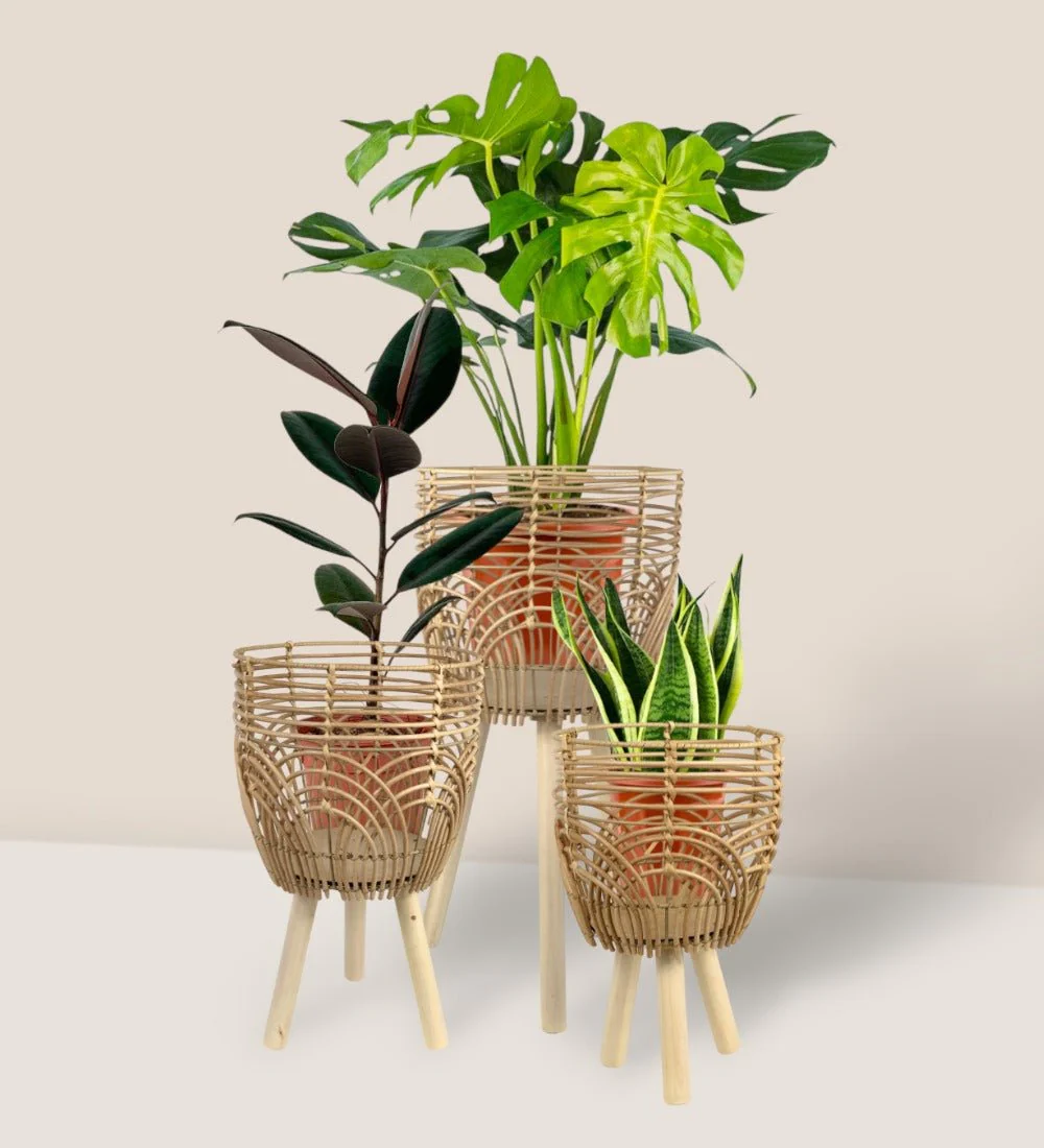 Coachella Basket with Stand - Image 2