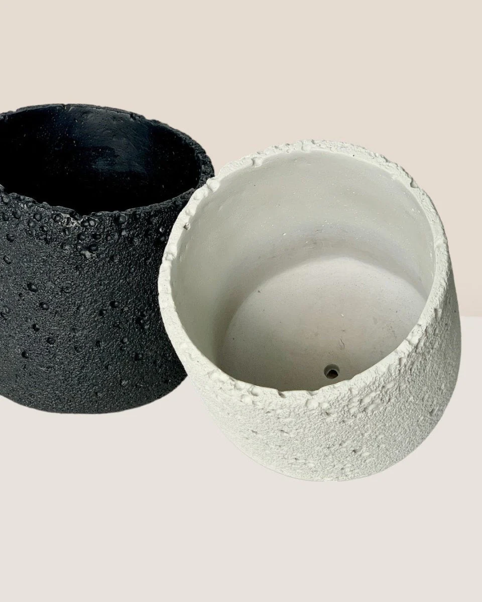Coarse Cylinder Planter - Image 3
