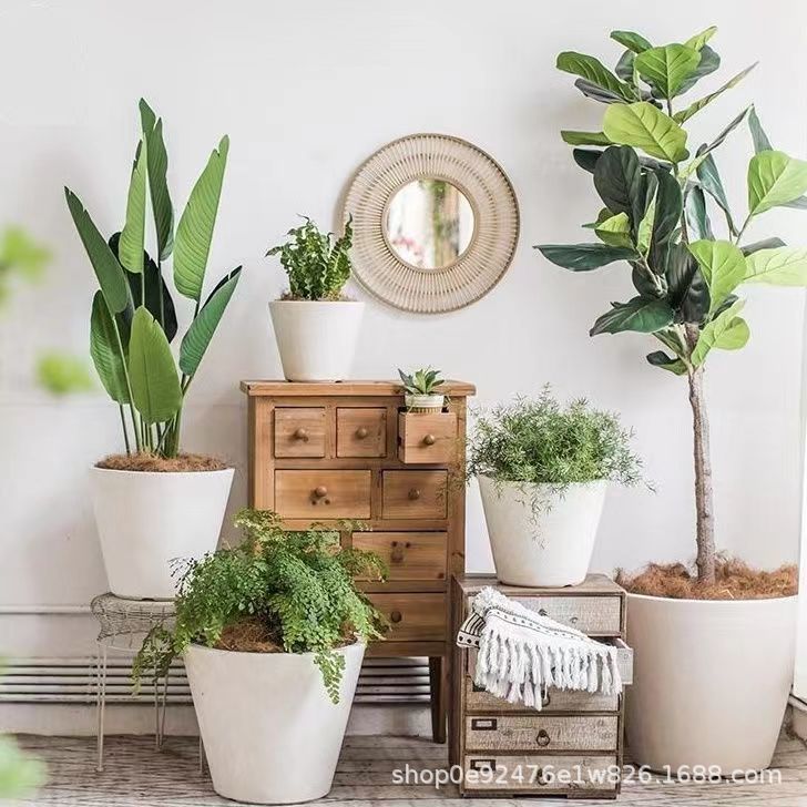 Cone Planter - XXL - Image 3