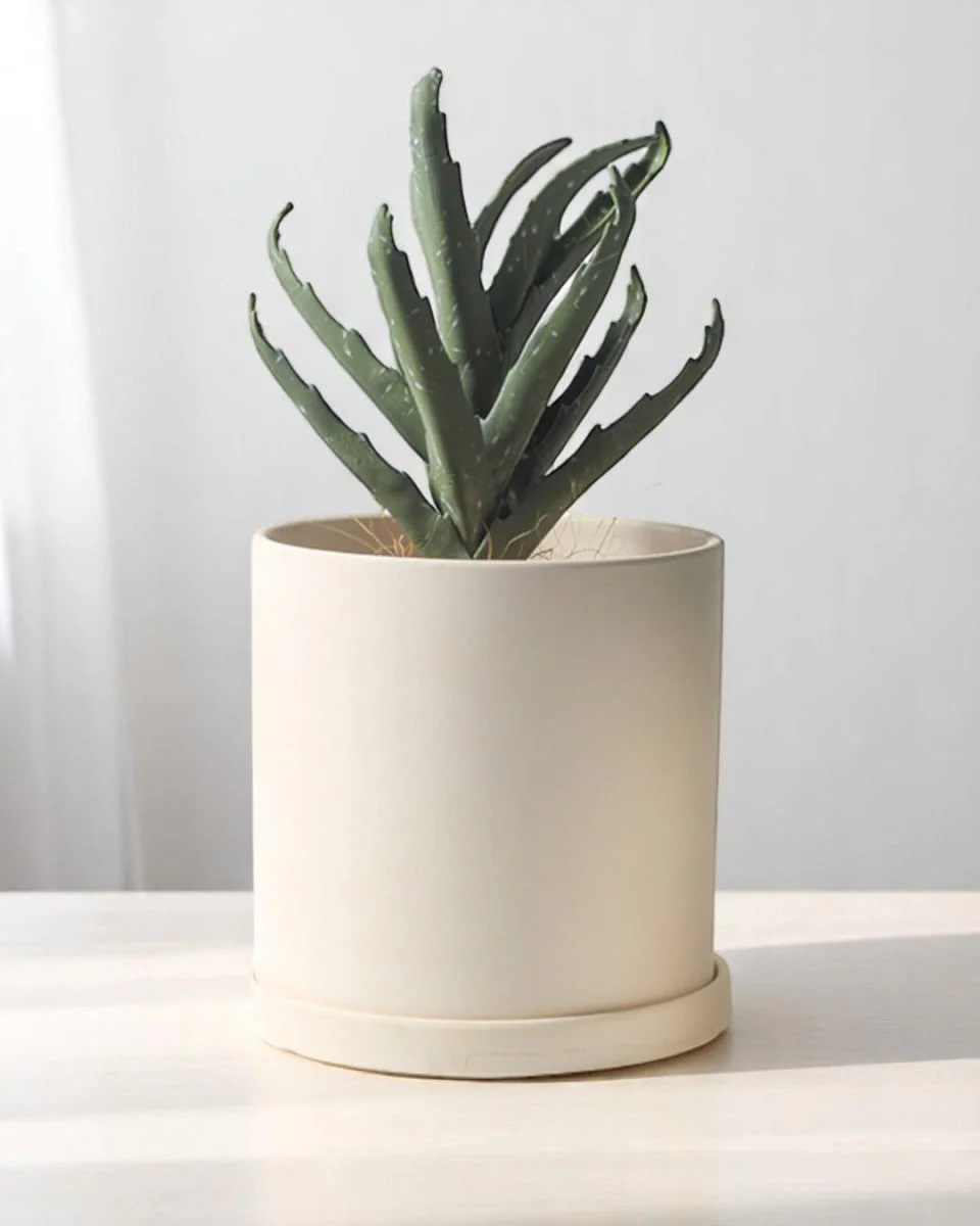 Cylinder Pot - Medium