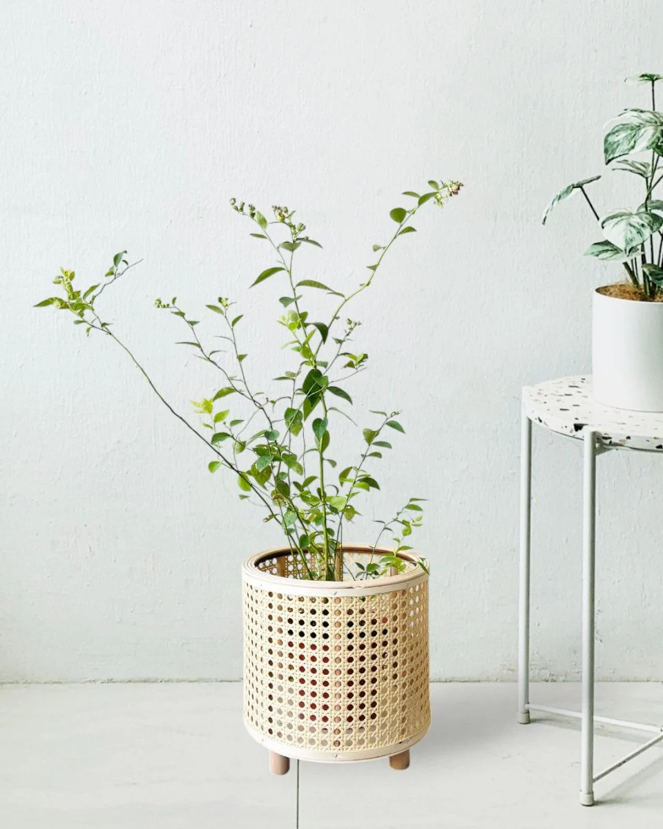 Daphne Basket - Image 2