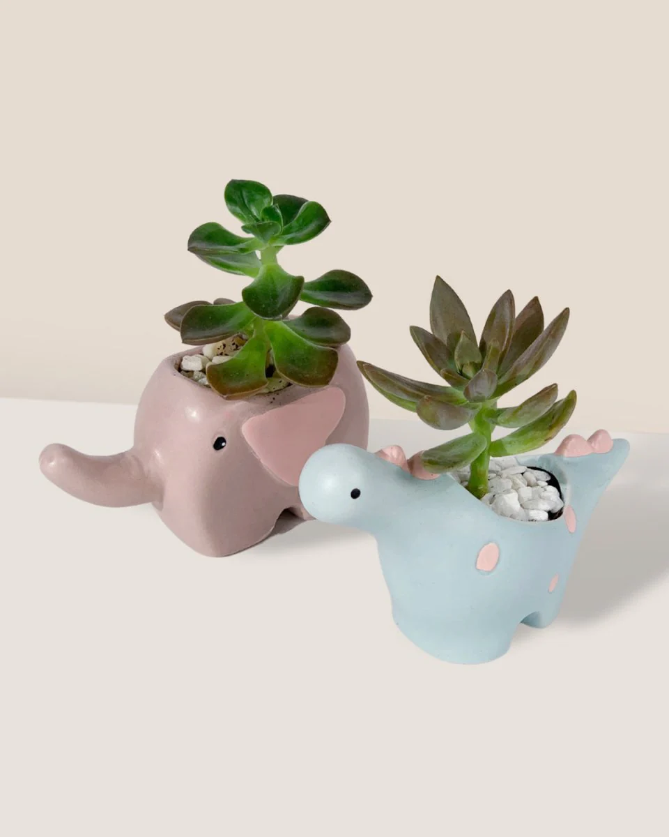 Dino Ceramic Pot - Image 2