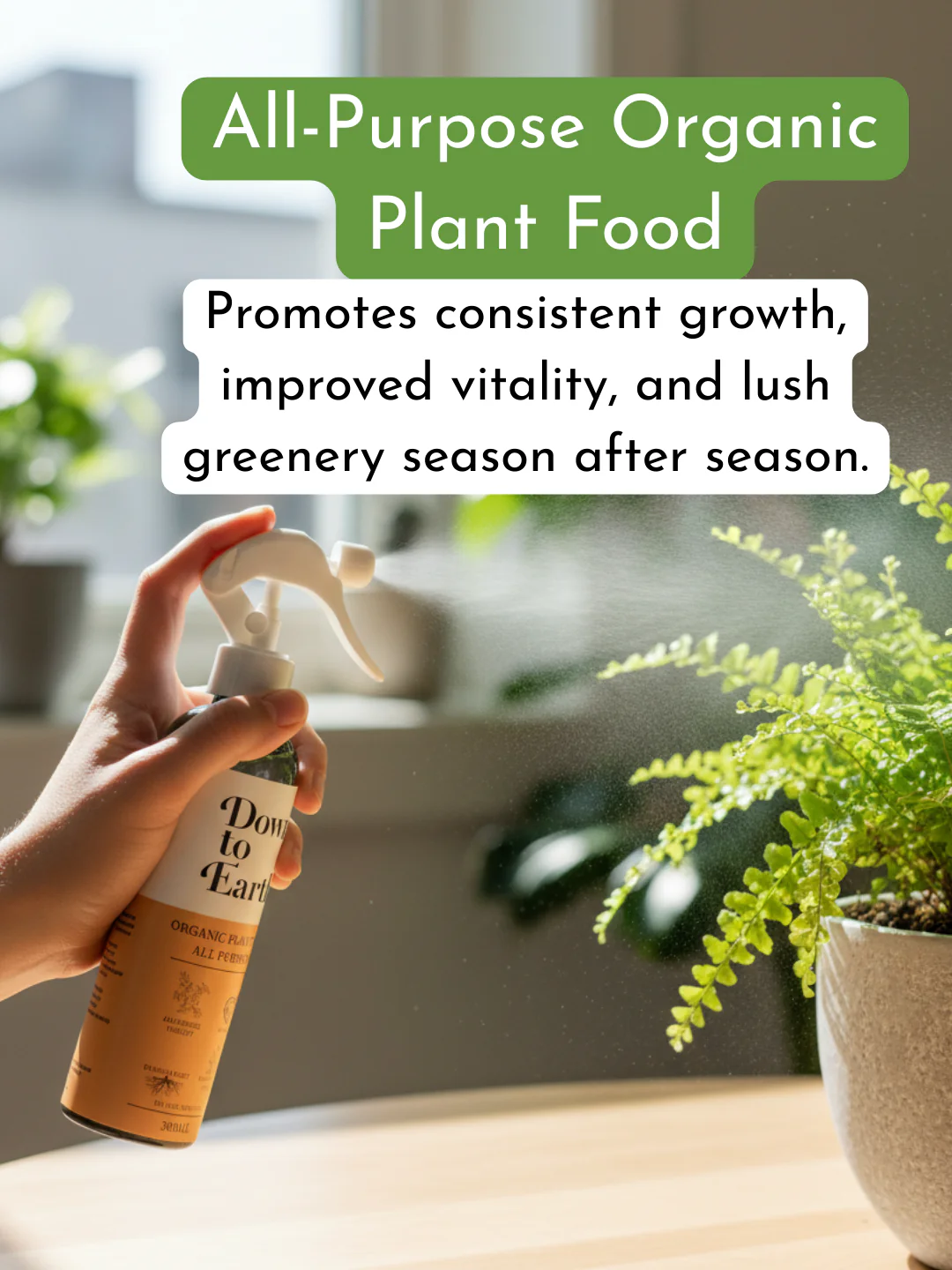 Down To Earth. All Purpose Plant Food (discontinued) - Image 3