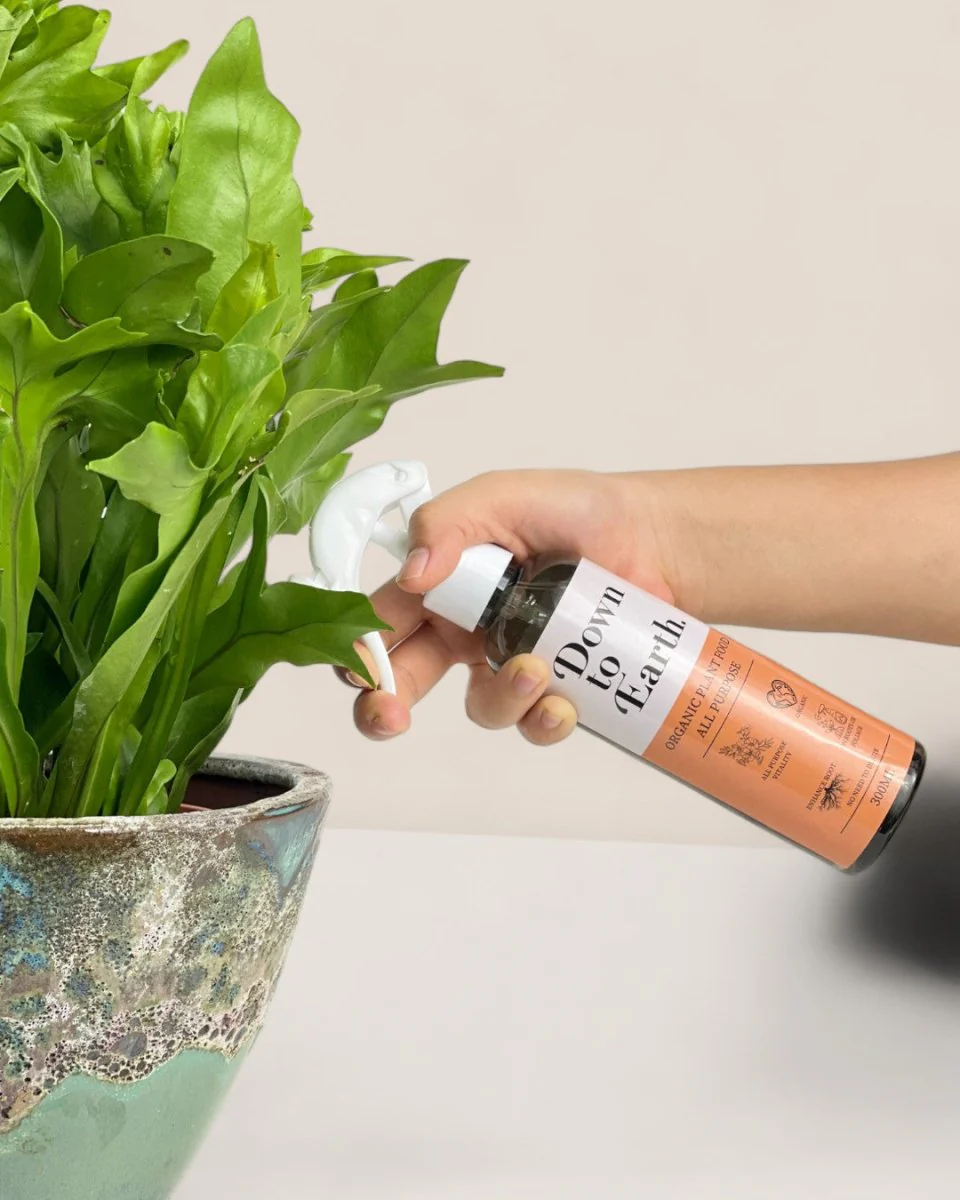Down To Earth. All Purpose Plant Food (discontinued) - Image 8