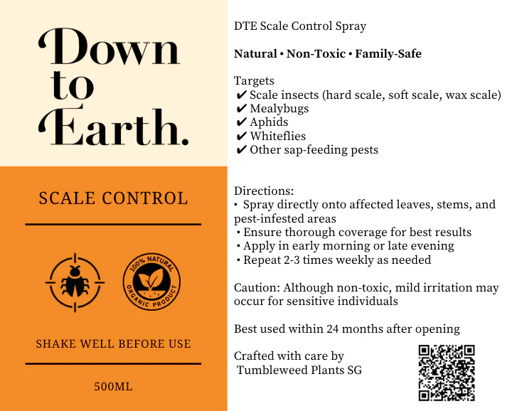 Down To Earth. Scale Control - Image 4