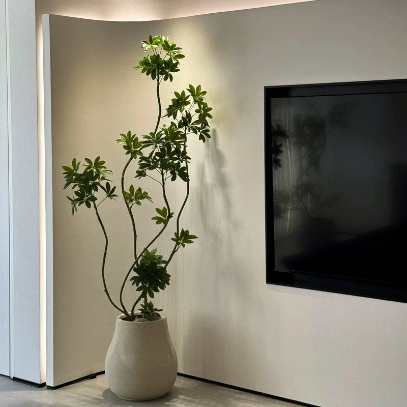 Dwarf Umbrella Tree (Life-like Artificial) - Image 2