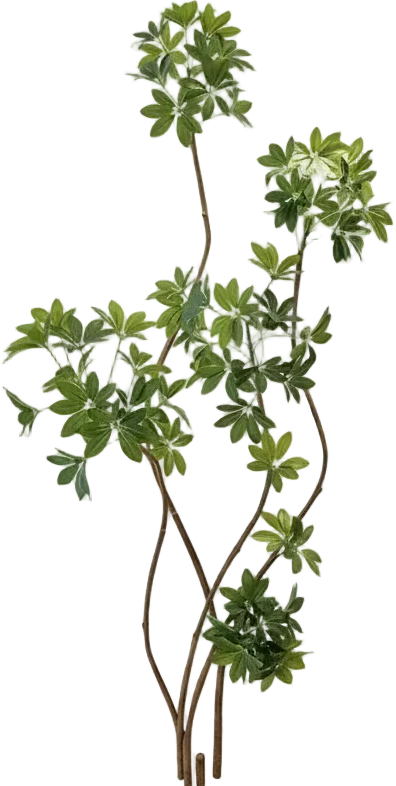 Dwarf Umbrella Tree (Life-like Artificial) - Image 7