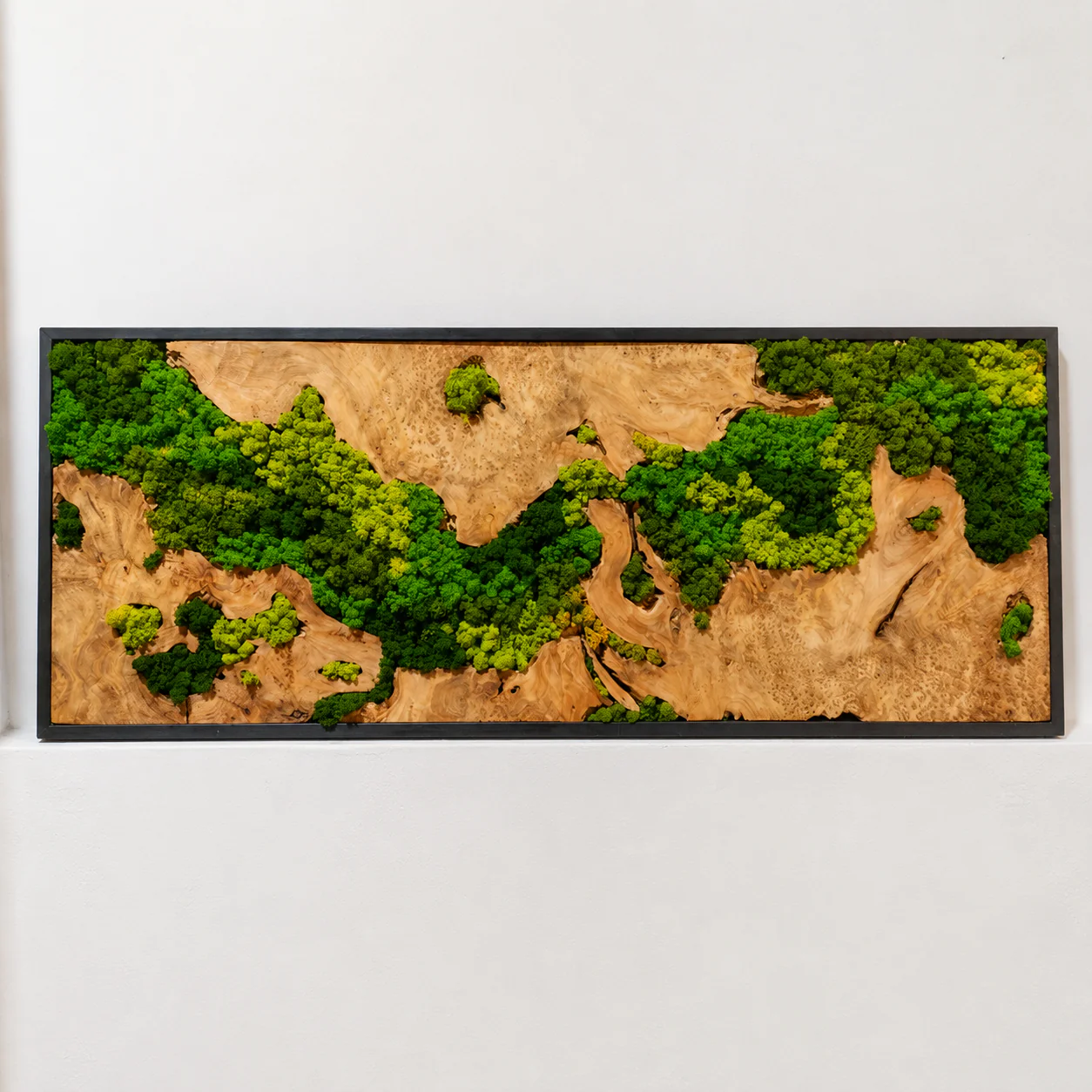 EARTH Frame - Preserved Plants: MOSS. - Image 10