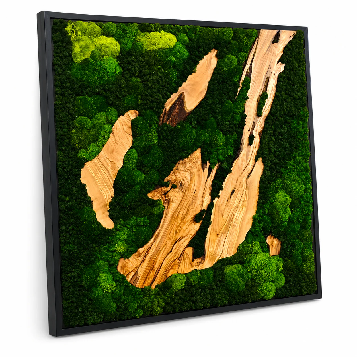 EARTH Frame - Preserved Plants: MOSS. - Image 11