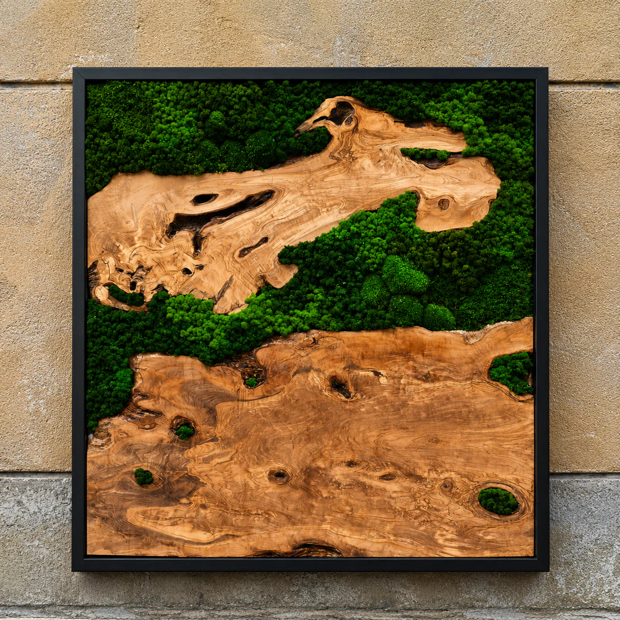EARTH Frame - Preserved Plants: MOSS. - Image 13