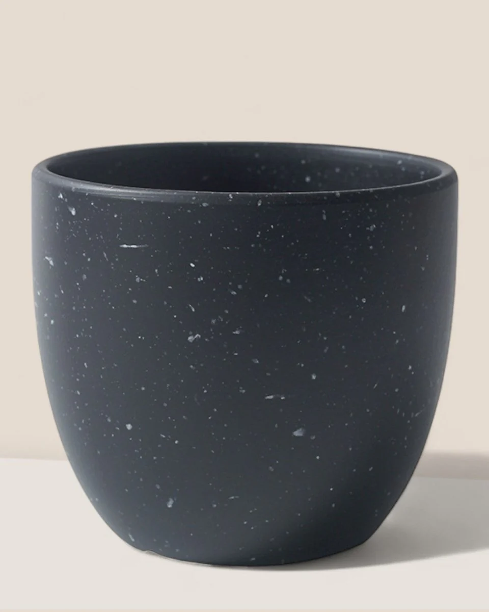Egg Pot Medium - Image 5