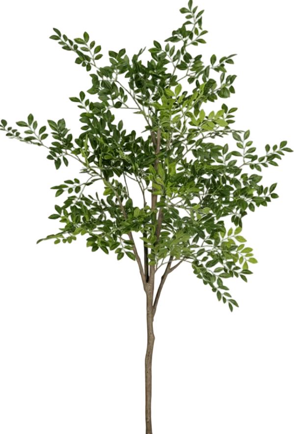 Elm Money Tree (Life-like Artificial) - Image 19