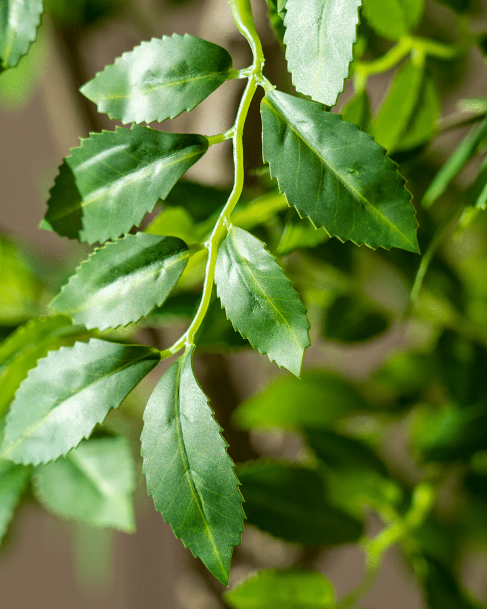 Elm Money Tree (Life-like Artificial) - Image 2