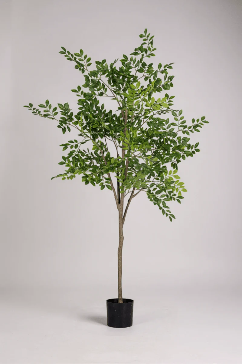 Elm Money Tree (Life-like Artificial) - Image 9