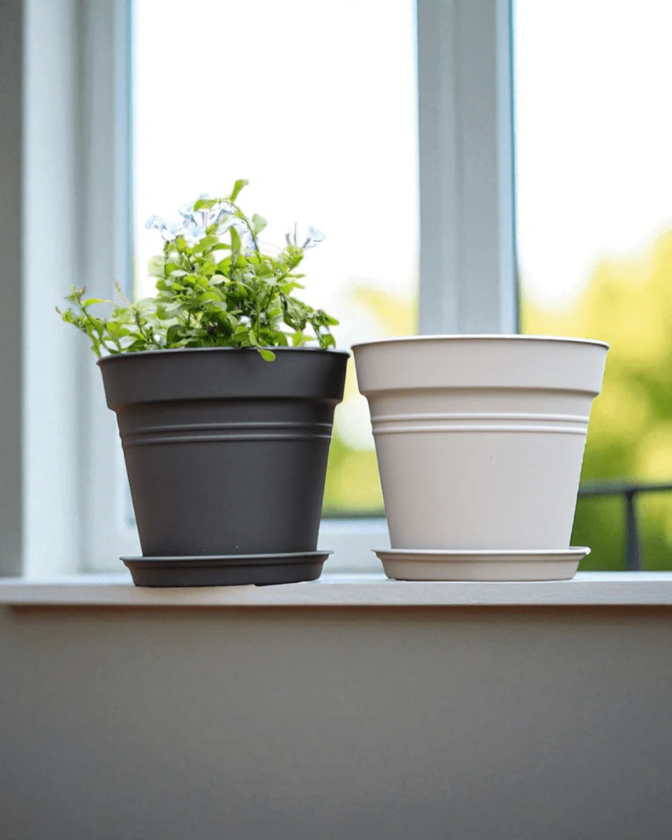 Essential Plastic Pot - Medium