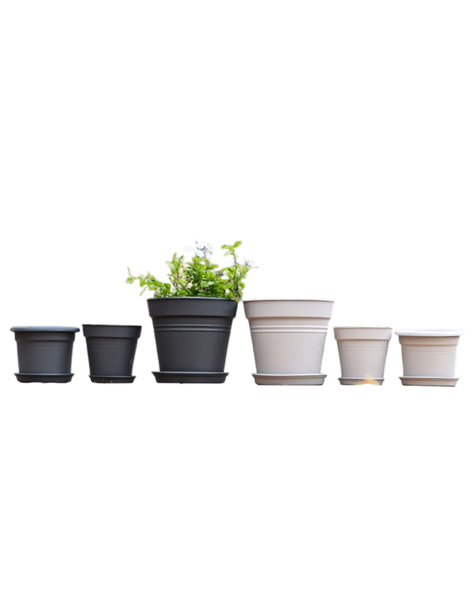 Essential Plastic Pot - Medium - Image 4