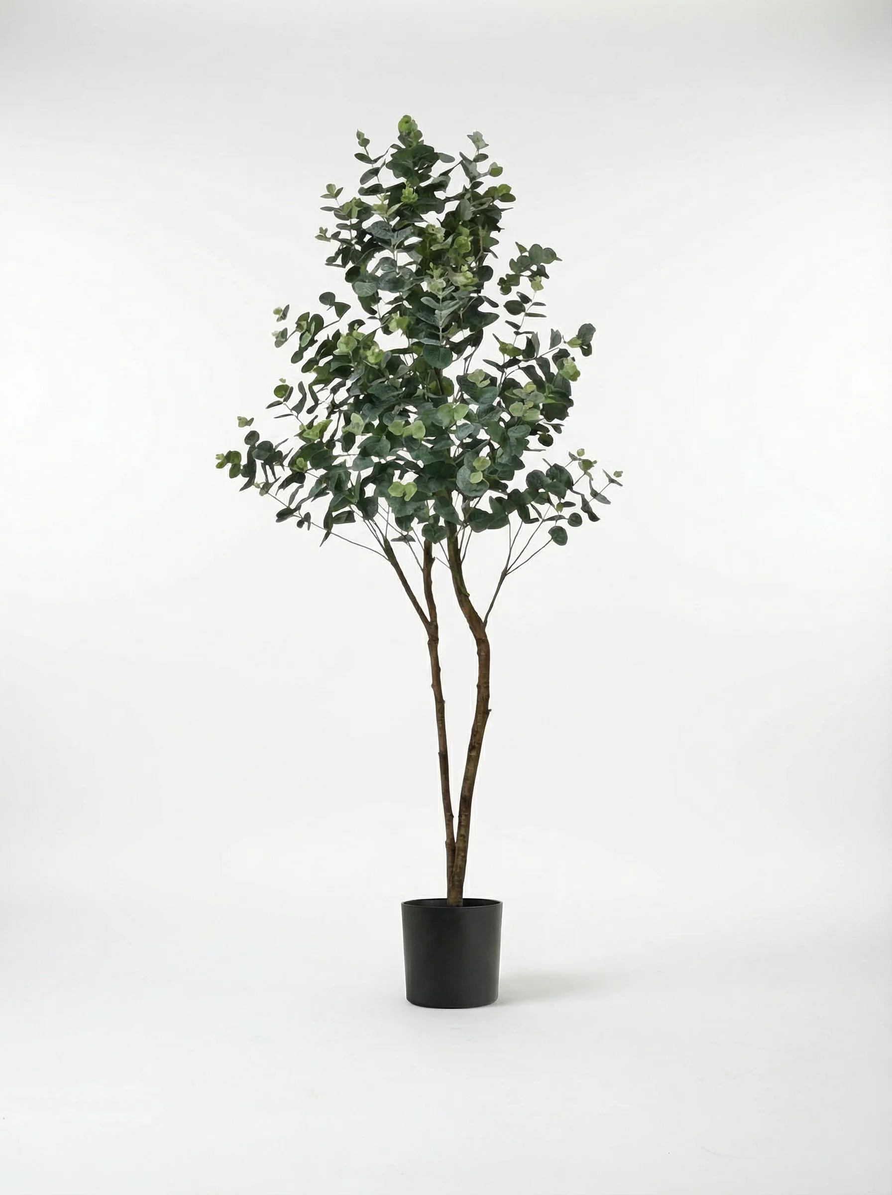 Eucalyptus Real-Trunk Artificial - Image 13