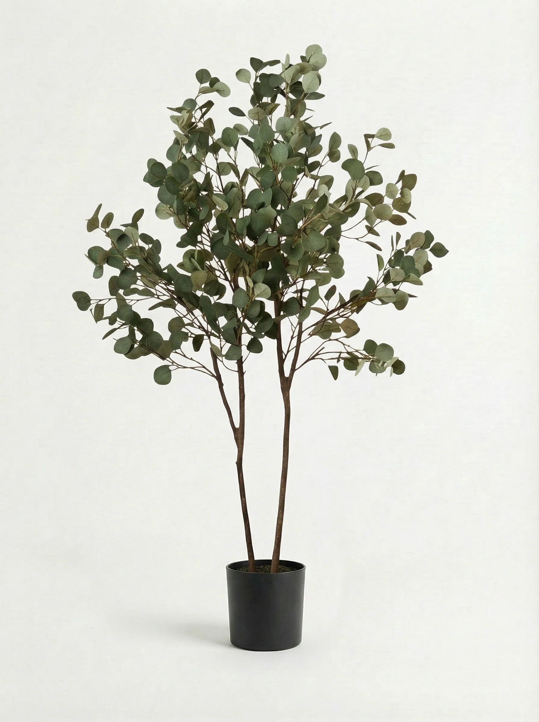 Eucalyptus Real-Trunk Artificial - Image 15