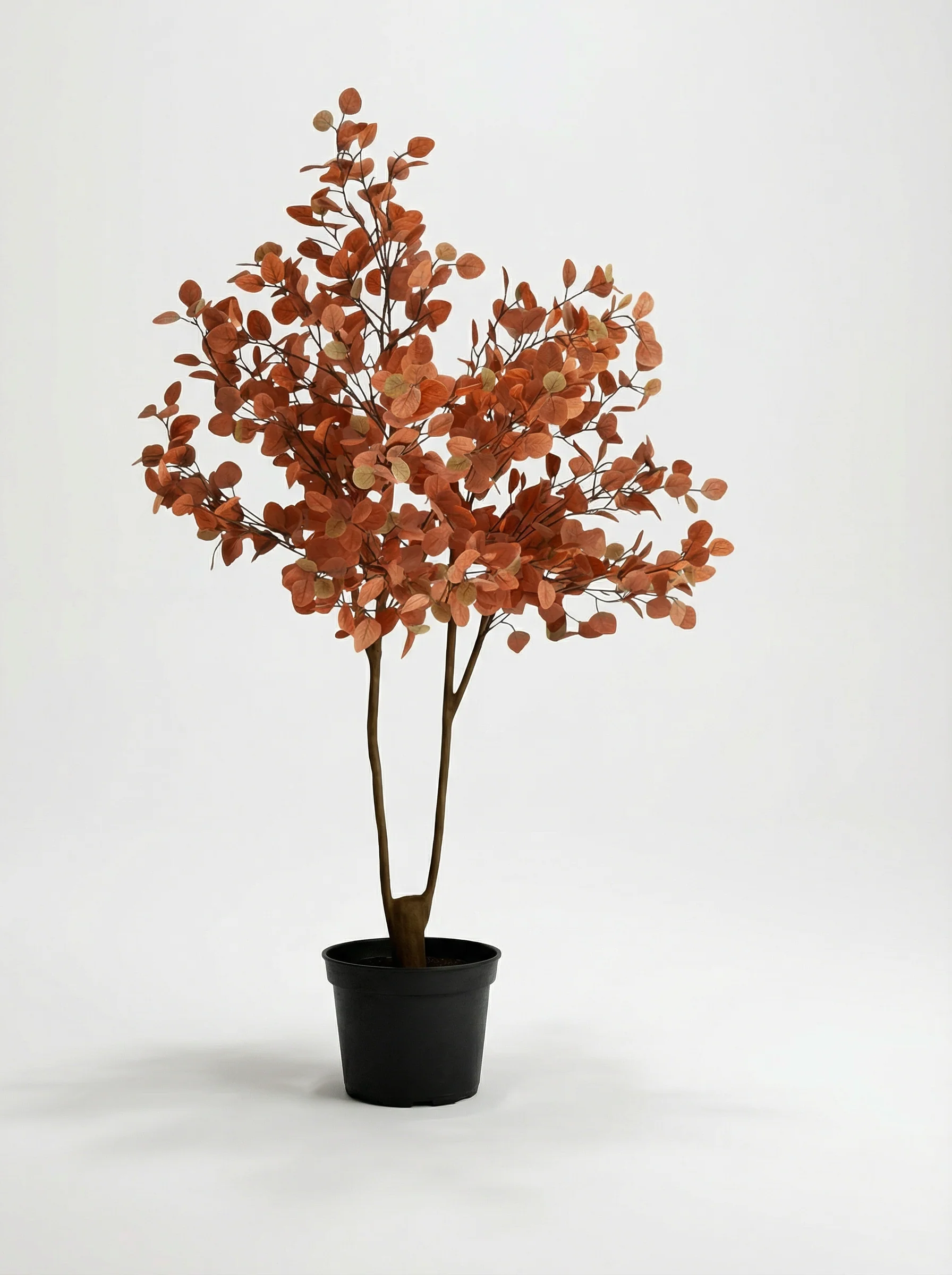 Eucalyptus Real-Trunk Artificial - Image 17