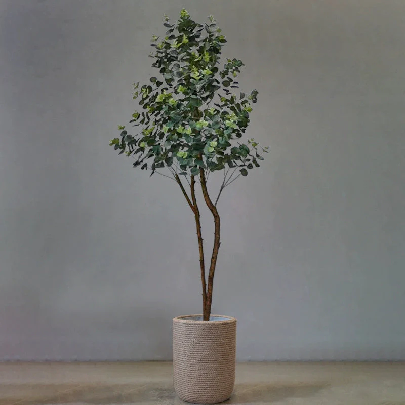 Eucalyptus Real-Trunk Artificial - Image 4