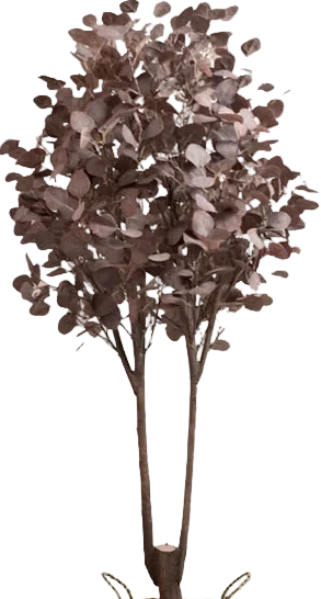 Eucalyptus Real-Trunk Artificial - Image 9