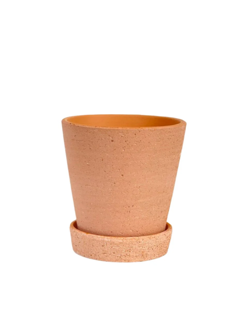 Terracotta Pot with Tray - XS - Image 7