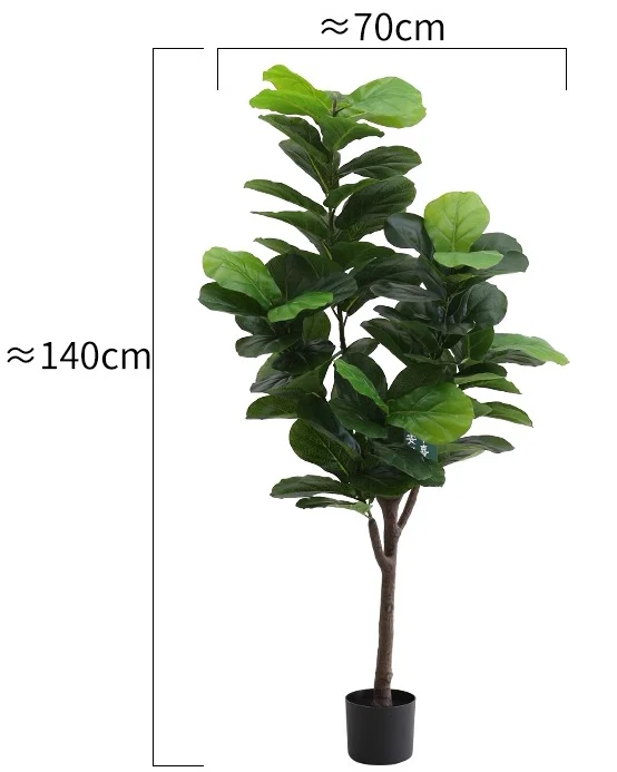 Fiddle Leaf Fig (Life-like Artificial) - Image 12