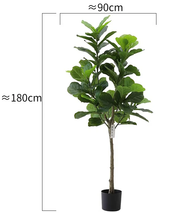 Fiddle Leaf Fig (Life-like Artificial) - Image 14
