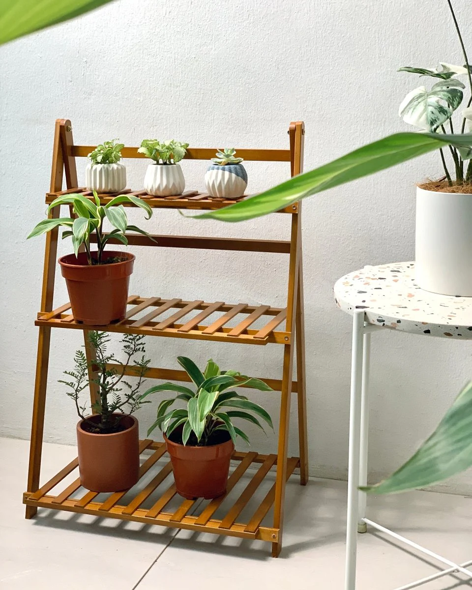 Bansey Foldable Plant Rack - Image 8