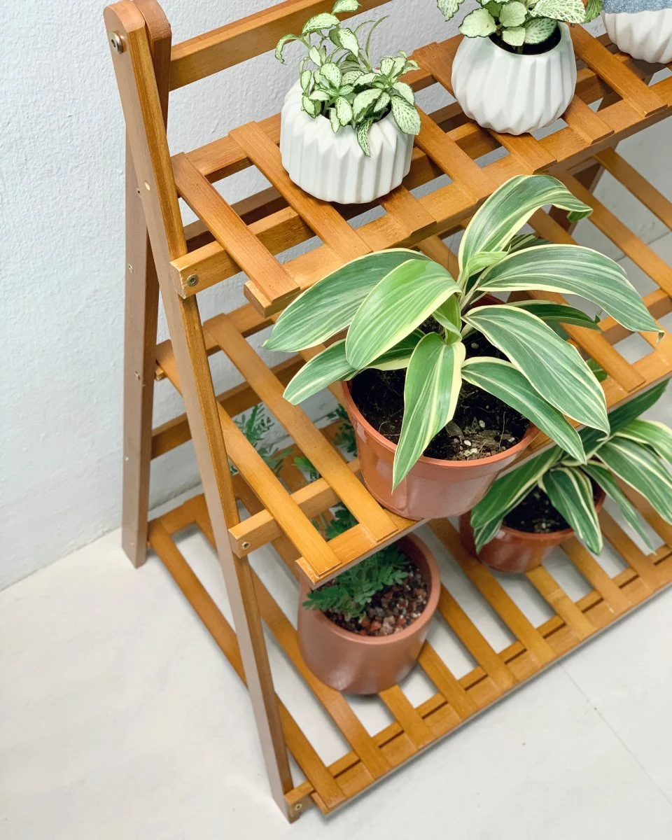 Bansey Foldable Plant Rack - Image 9