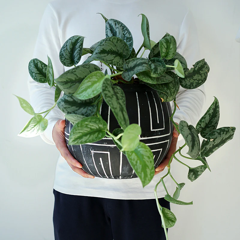 Folk Element Pot - Medium - Image 3