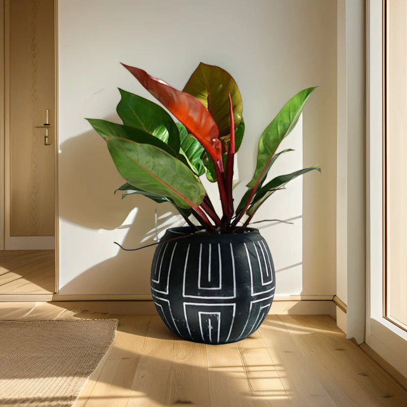 Folk Element Pot - Medium - Image 4