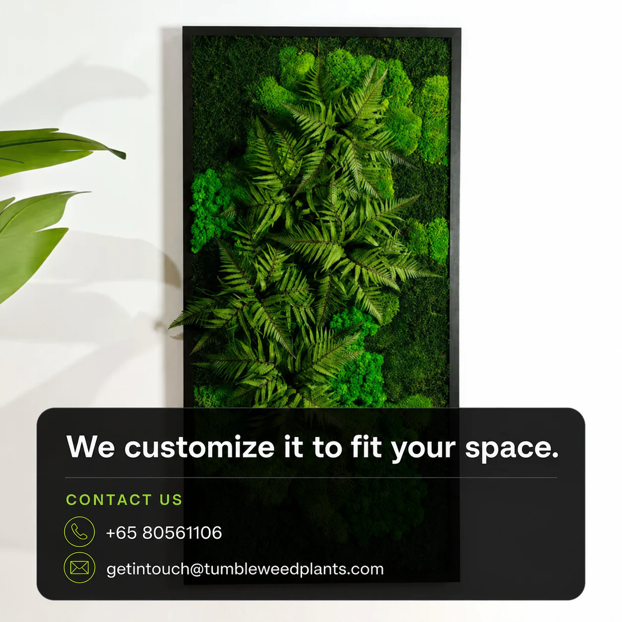 Frame Greens - MOSS. - Image 13