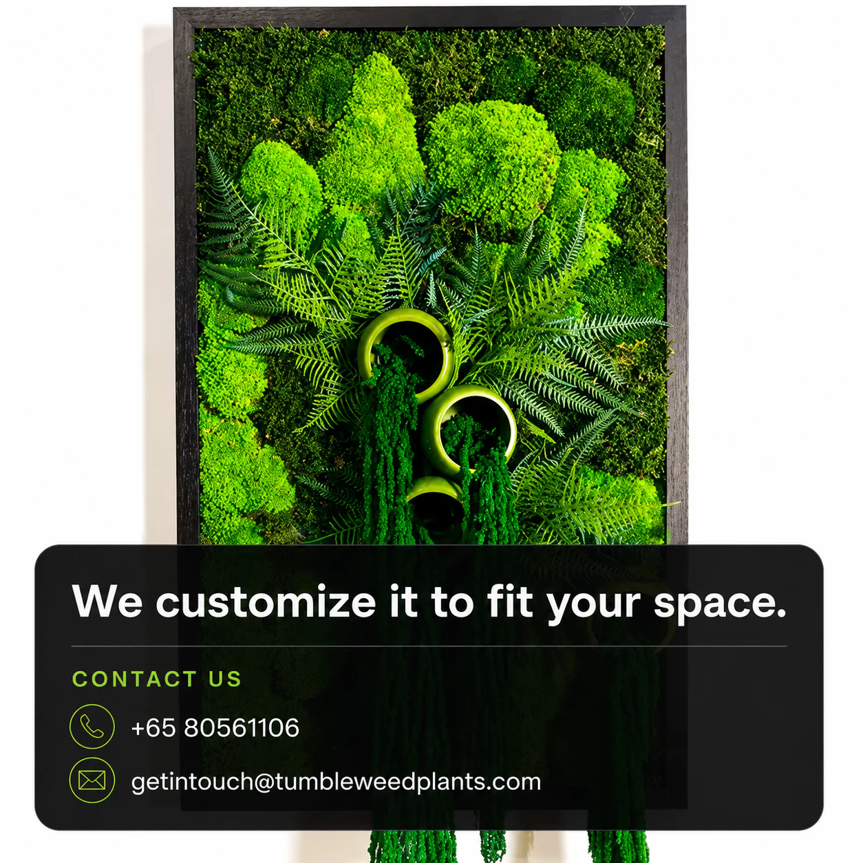 Frame Greens - MOSS. - Image 14