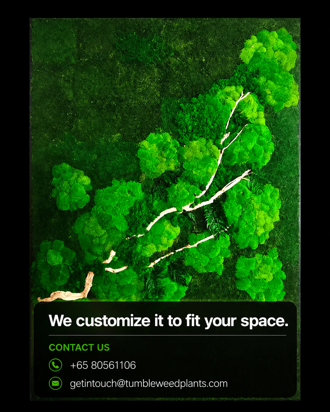Frame Greens - MOSS. - Image 15