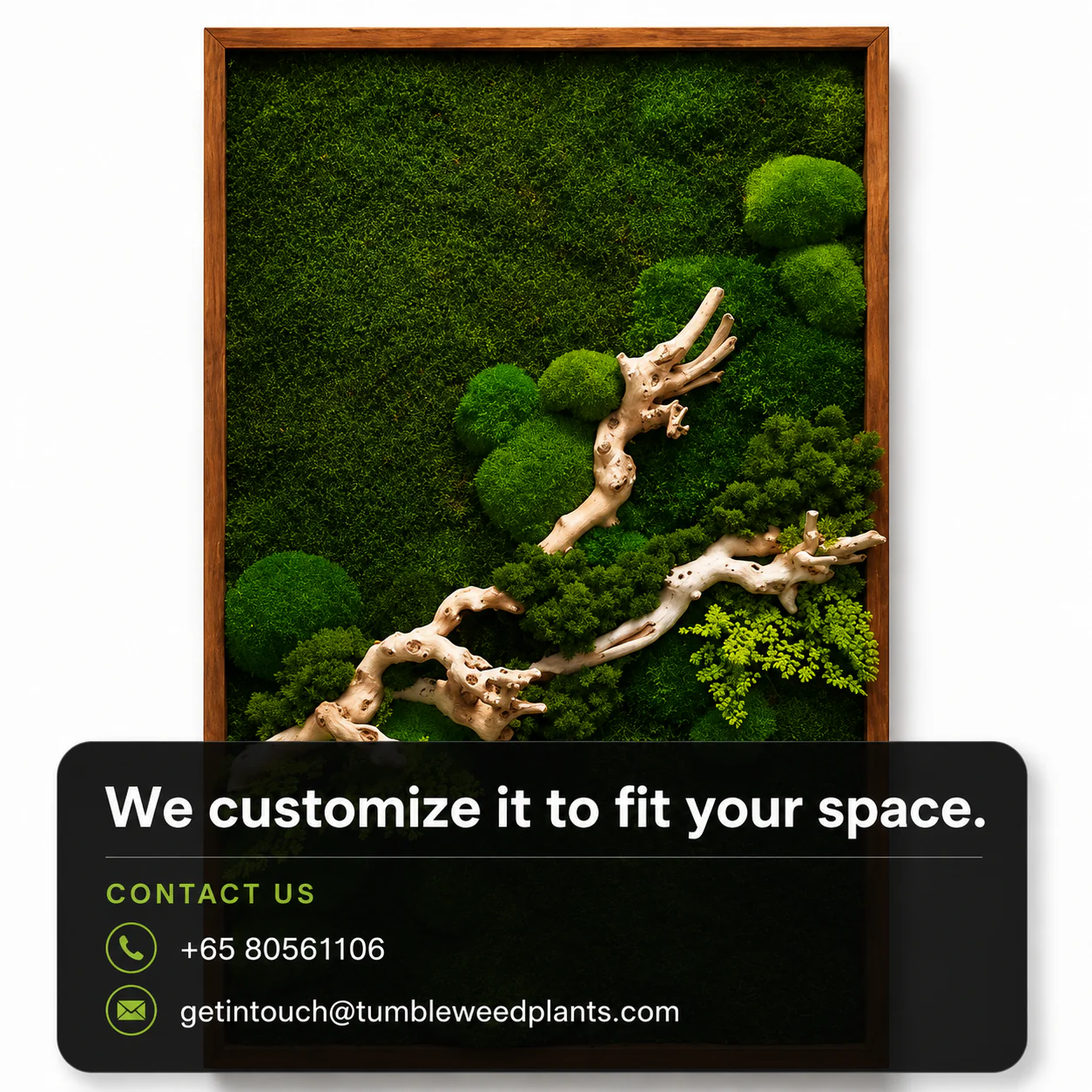 Frame Greens - MOSS. - Image 17