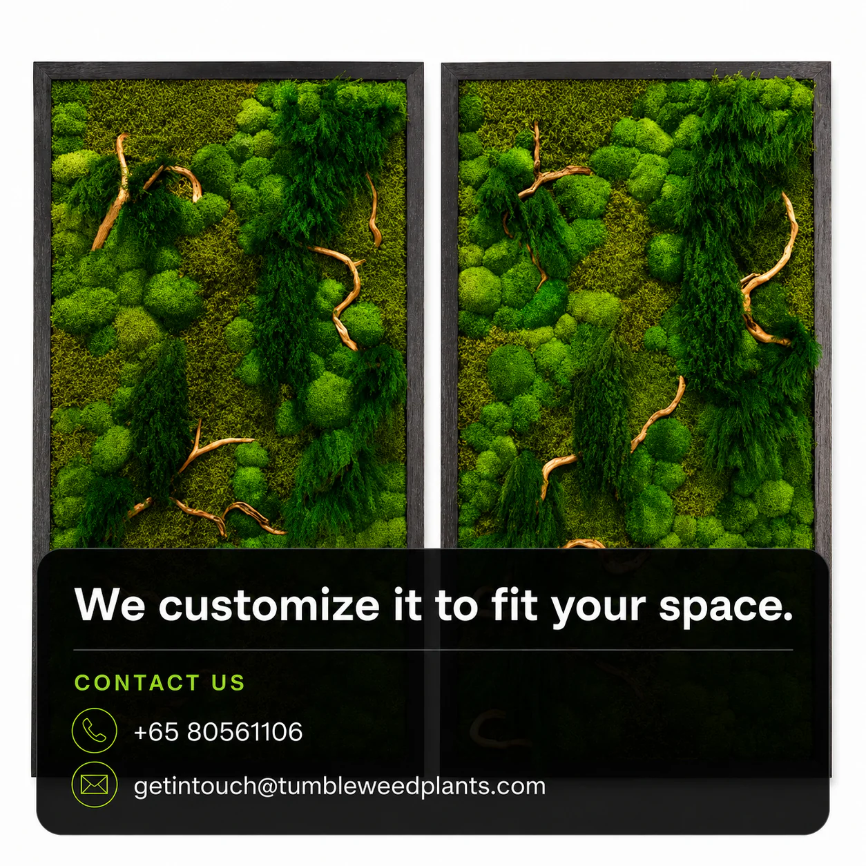 Frame Greens - MOSS. - Image 18