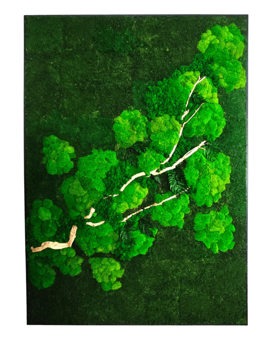 Frame Greens - MOSS. - Image 9