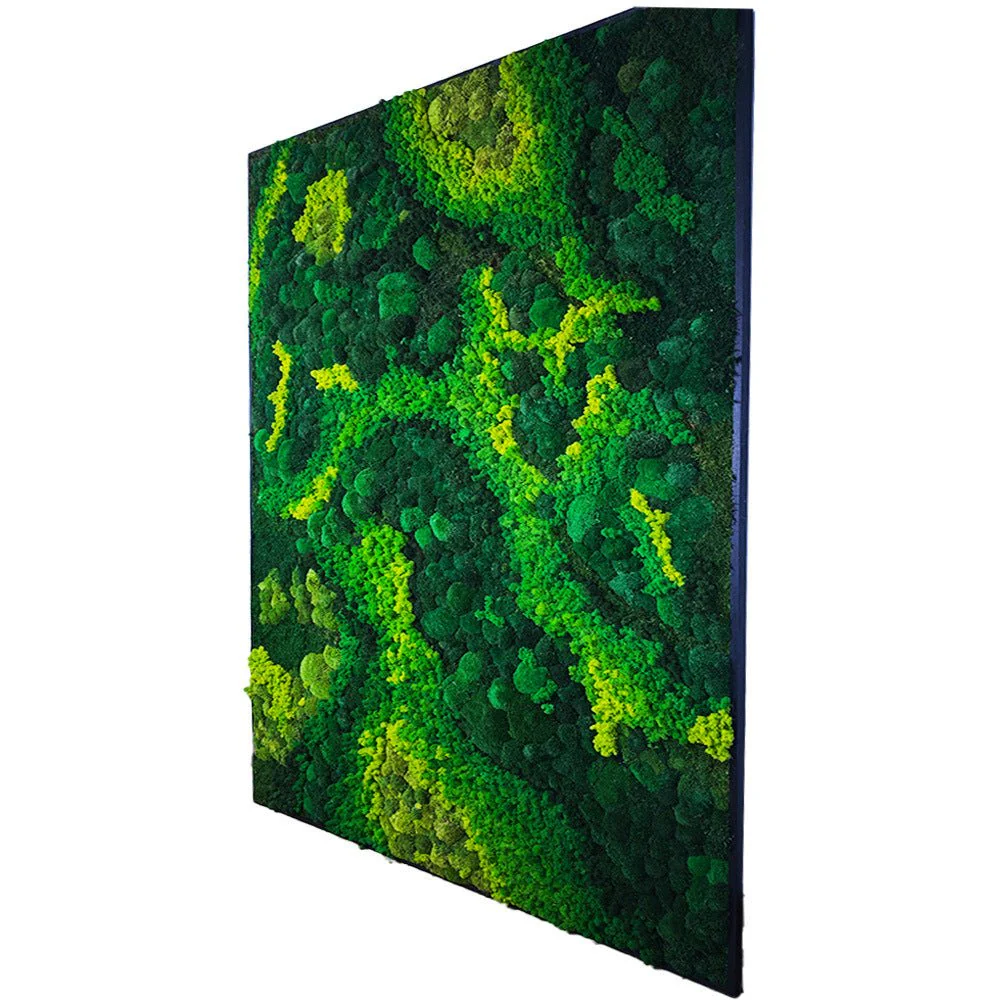 Frame - Preserved Plants: MOSS. - Image 3