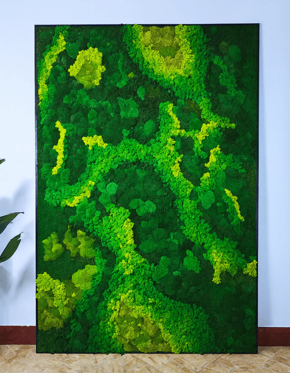 Frame - Preserved Plants: MOSS. - Image 4