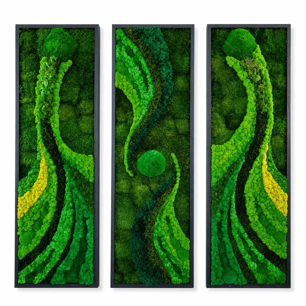 Frame - Preserved Plants: MOSS. - Image 6