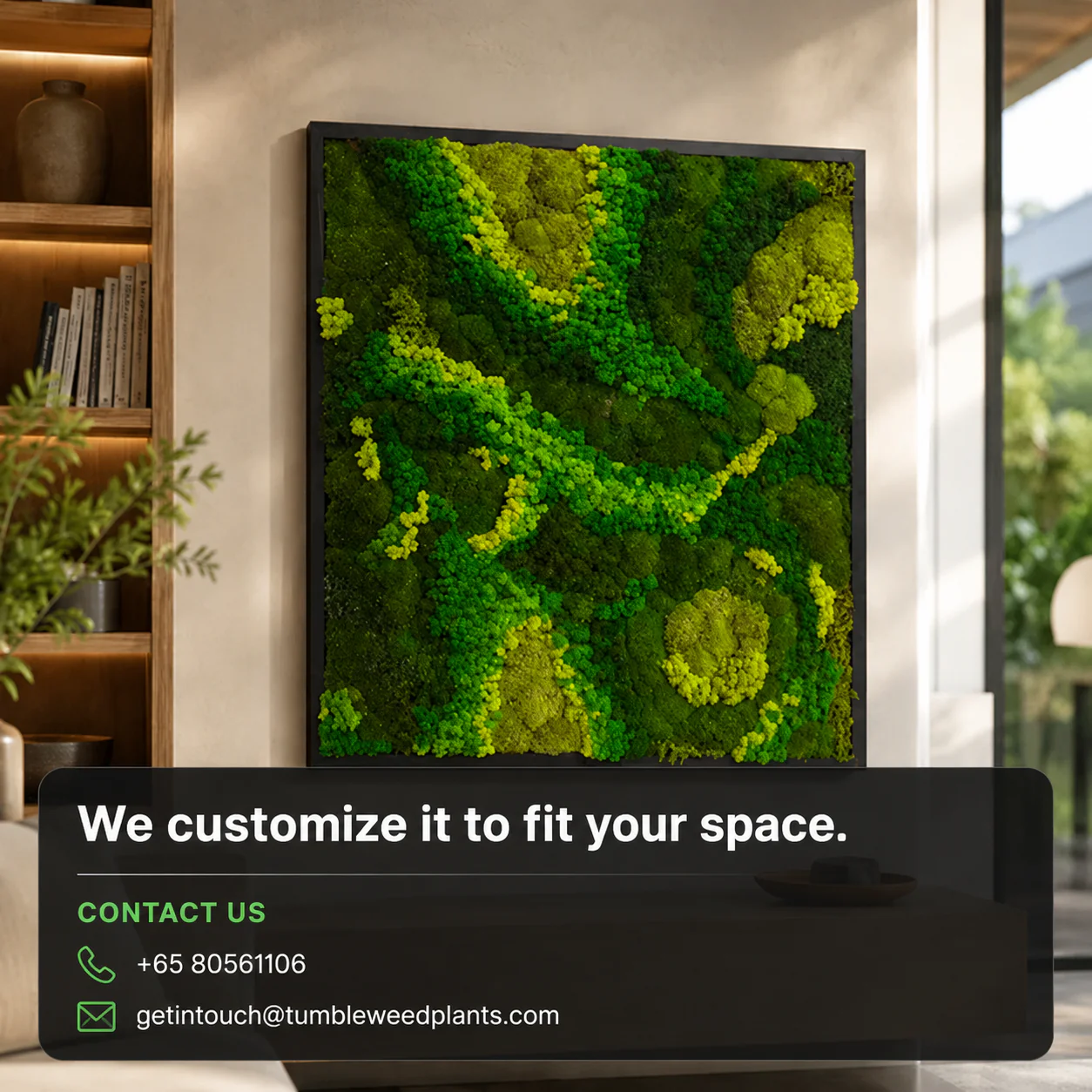 Frame - Preserved Plants: MOSS. - Image 8