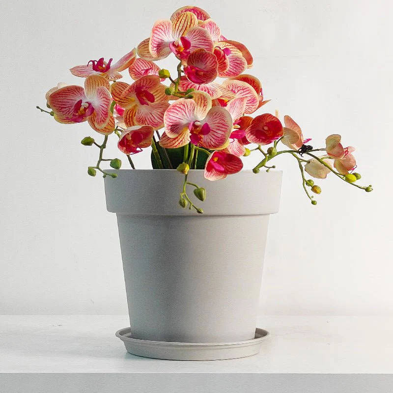 GAL Plastic Pots Large - Image 6