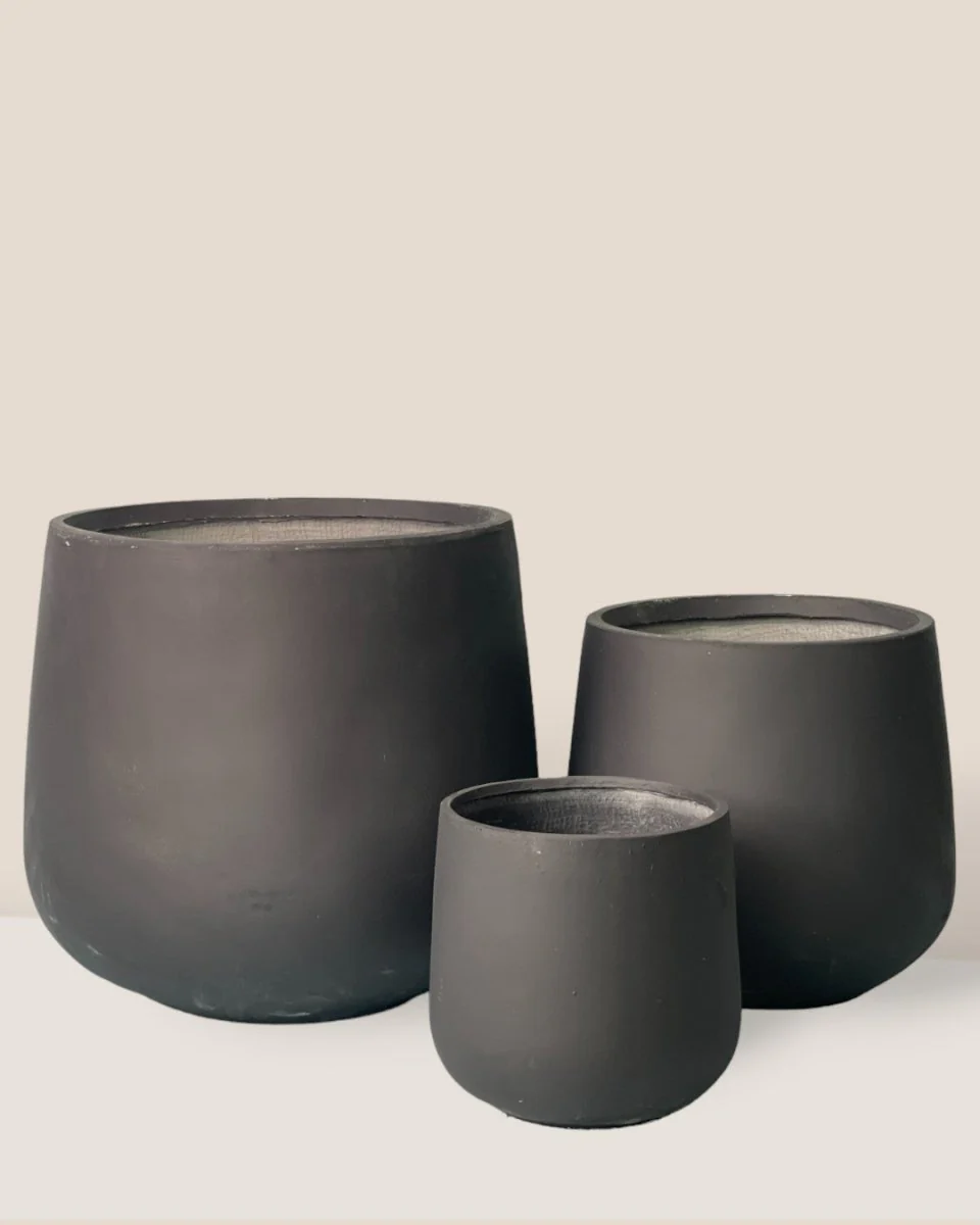 Goblet Planter Collection
