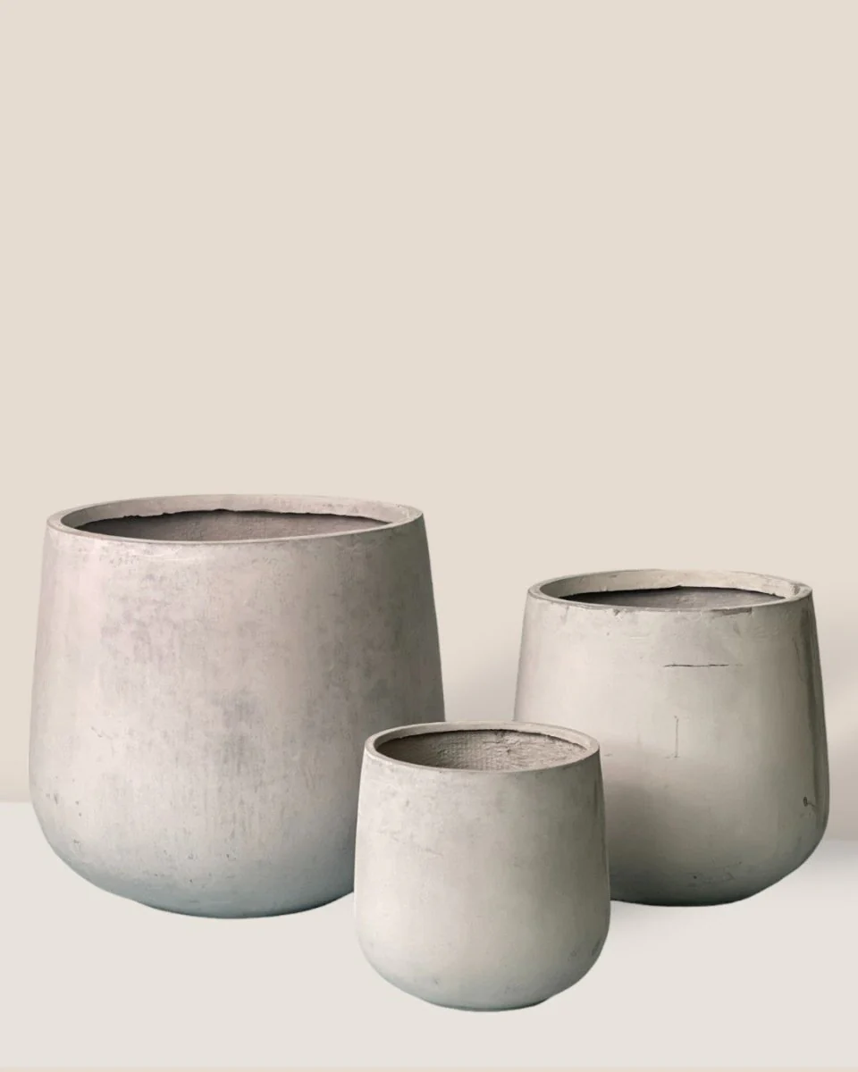 Goblet Planter Collection - Image 16