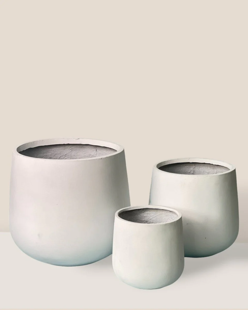 Goblet Planter Collection - Image 5
