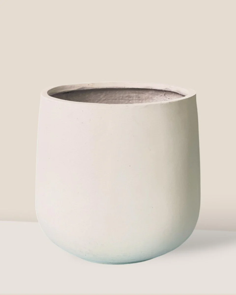 Goblet Pot XL