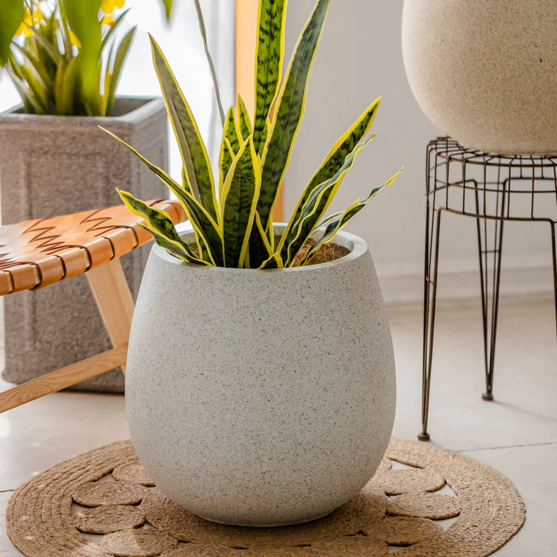 Halo Oval Pot - XL - Image 3